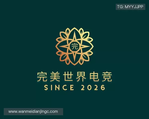 发现完美电竞